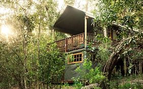 Fernhill Tented Treehouses