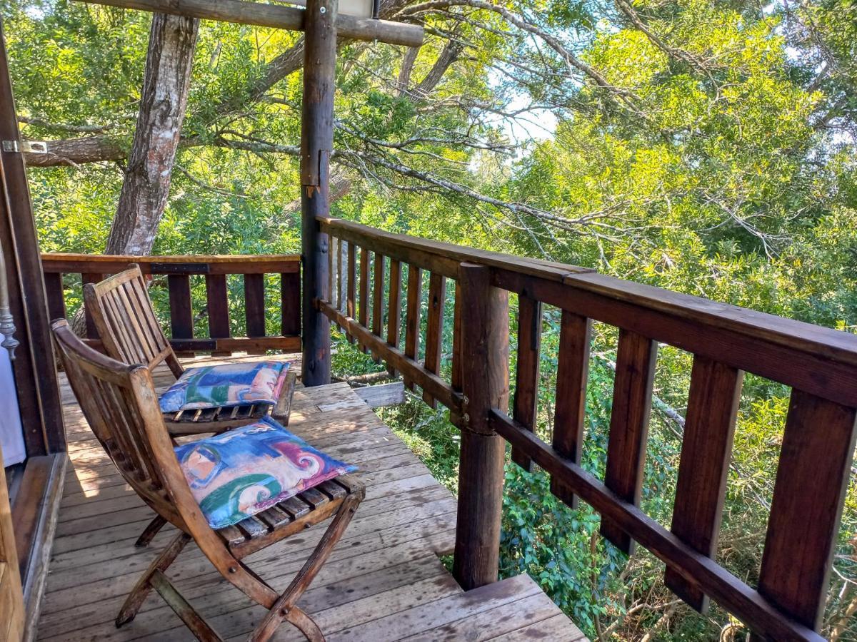 Fernhill Tented Treehouses Rheenendal Exterior photo