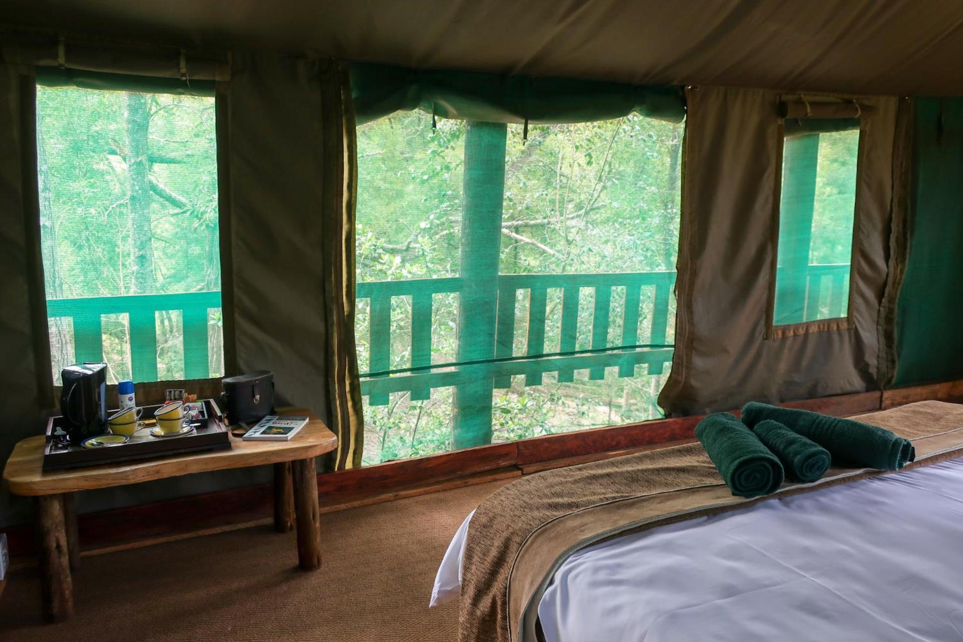 Fernhill Tented Treehouses Rheenendal Room photo