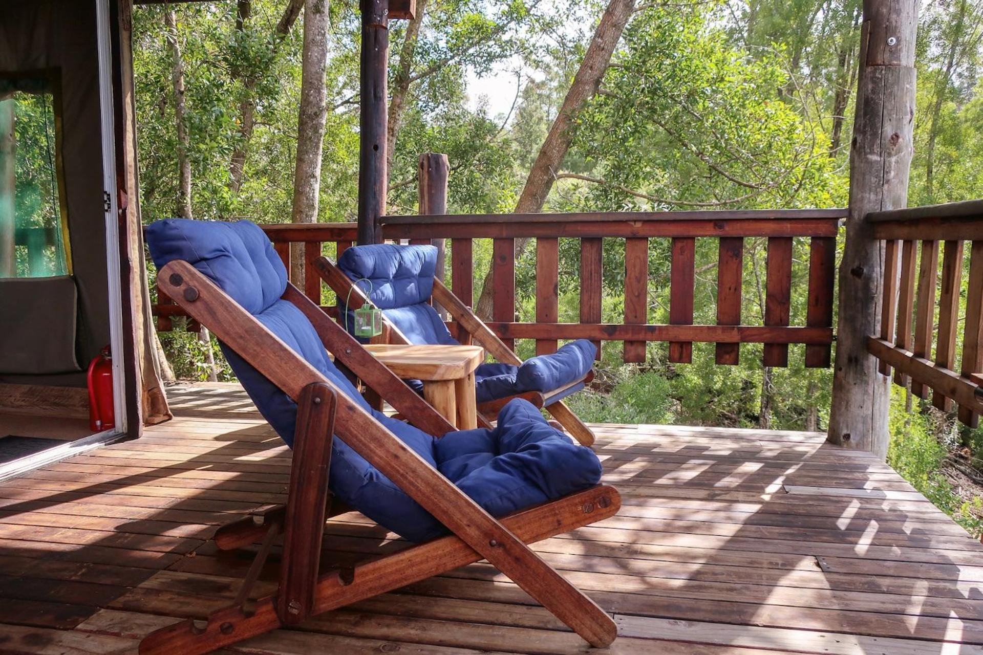 Fernhill Tented Treehouses Rheenendal Room photo