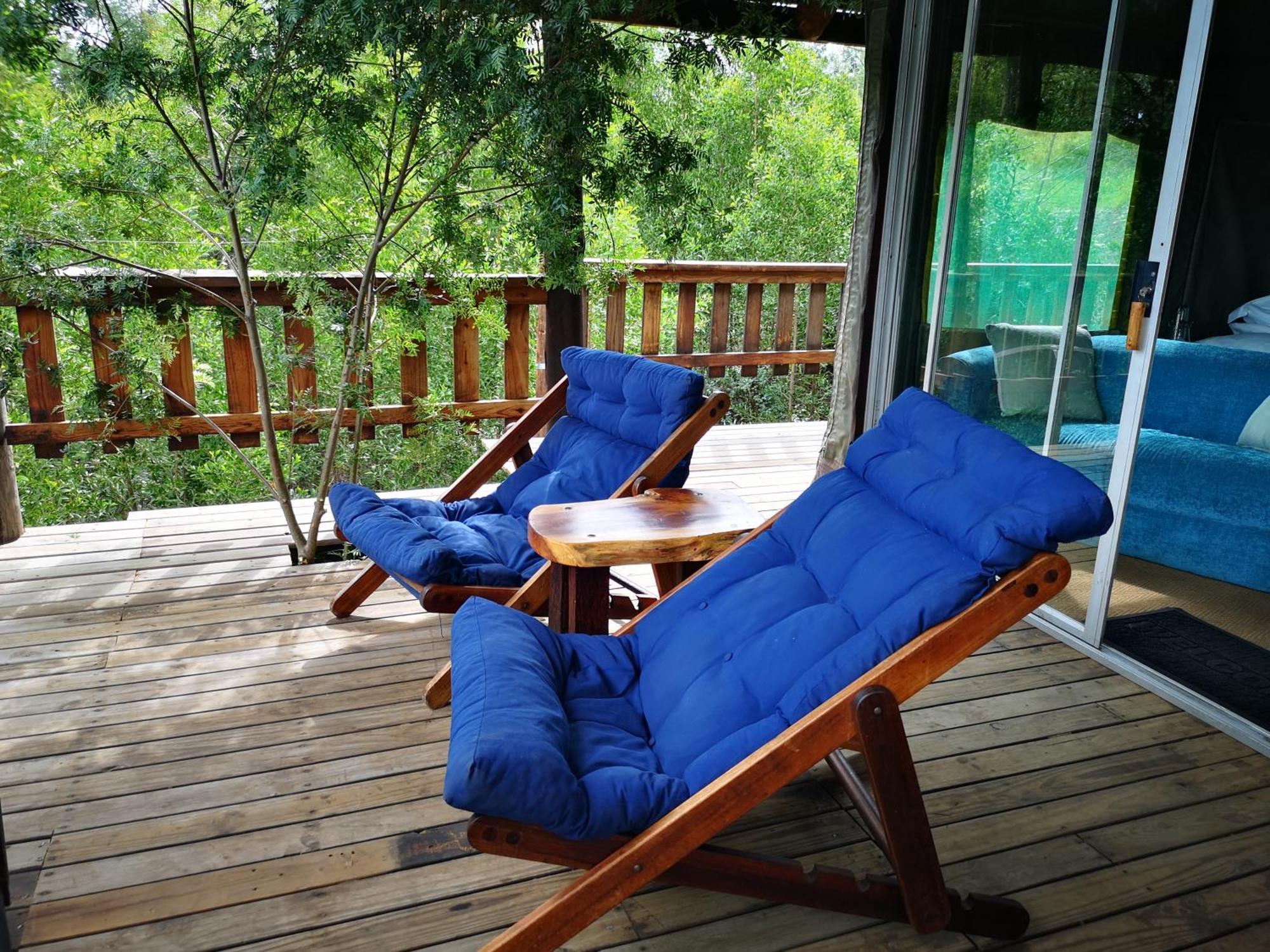 Fernhill Tented Treehouses Rheenendal Room photo